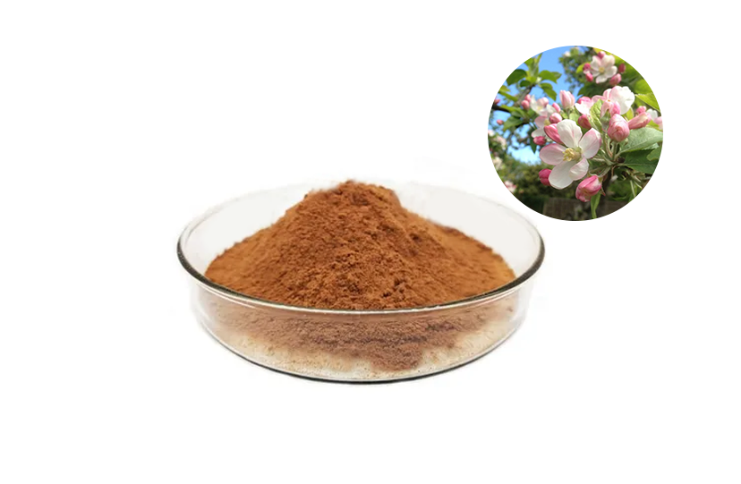 Apple Polyphenol Extract